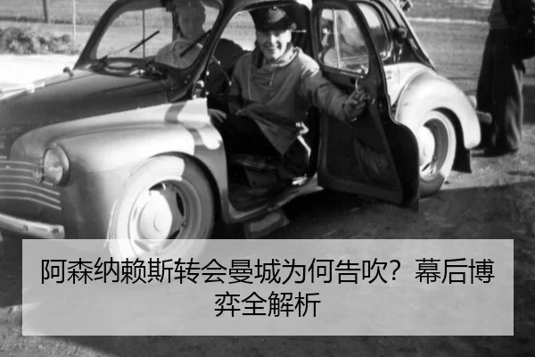 a-sen-na-lai-si-zhuan-hui-man-cheng-wei-he-gao-chui-mu-hou-bo-yi-quan-jie-xi-2-551.jpg