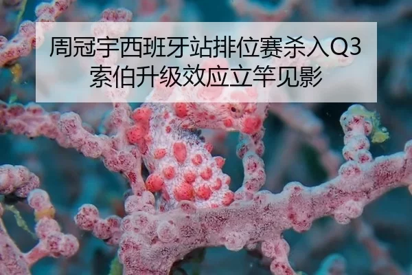 周冠宇西班牙站排位赛杀入Q3 索伯升级效应立竿见影