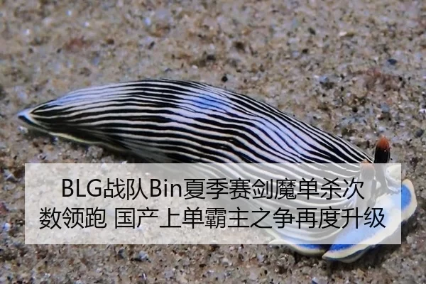 BLG战队Bin夏季赛剑魔单杀次数领跑 国产上单霸主之争再度升级